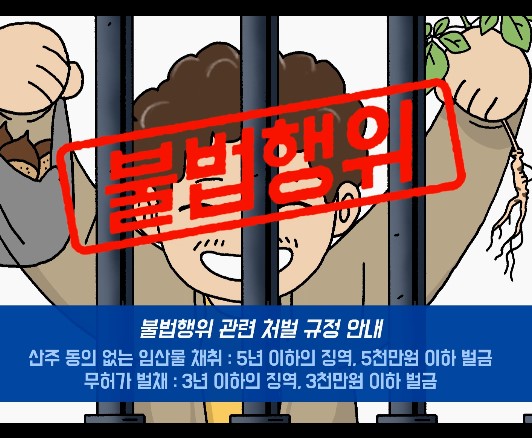 [캠페인영상]한국임업진흥원 교육영상